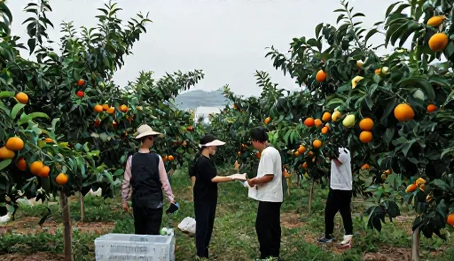 种植技术指导:选型关注点的对比与实际取舍